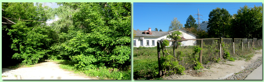 Фото слева – участок изгороди из двора Медгородка. Фото справа – то, что от этой изгороди и от деревьев осталось.