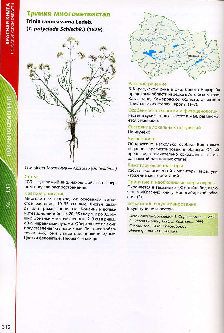 Растения Новосибирской области занесенные в красную книгу России