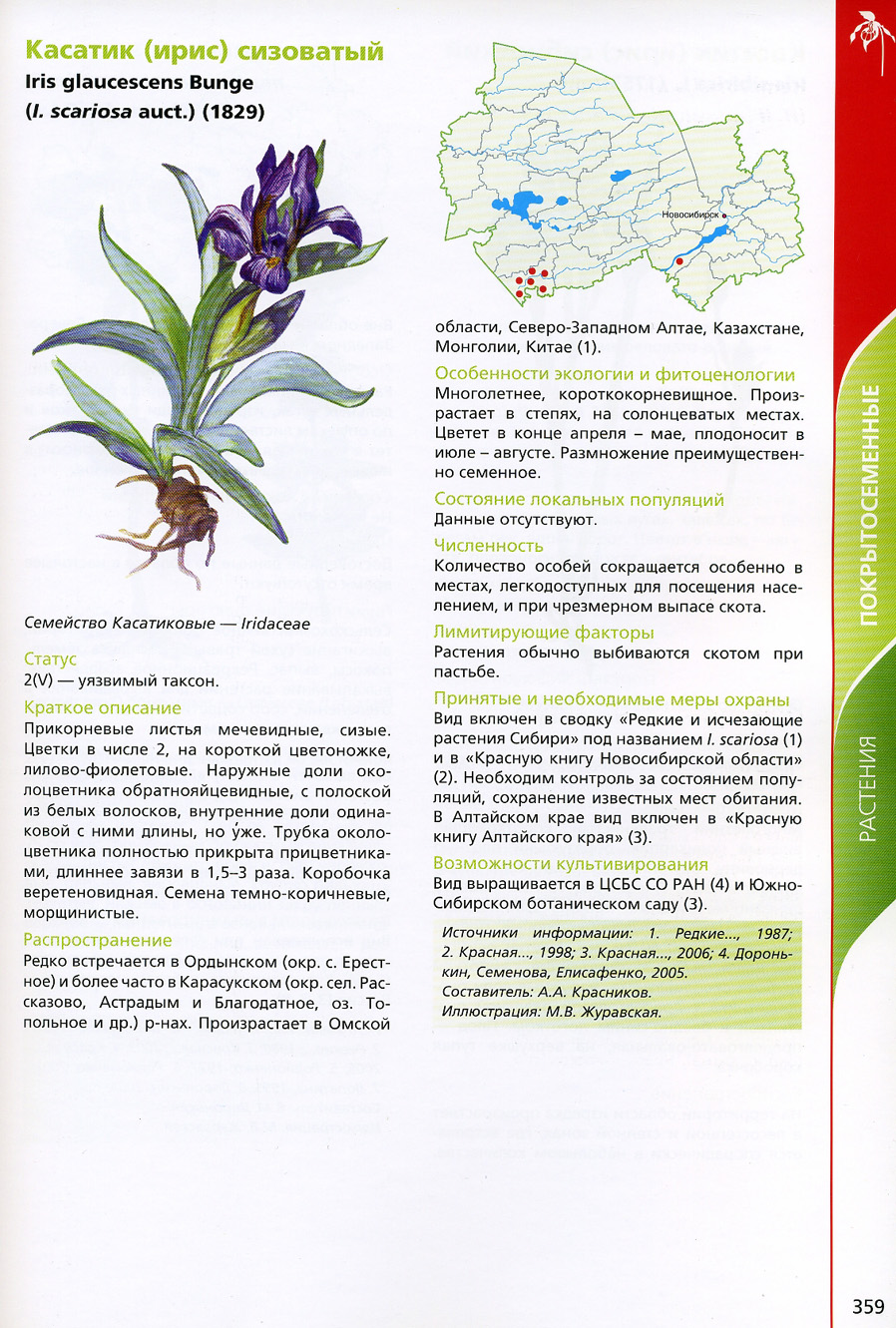 Растения красной книги Новосибирской области