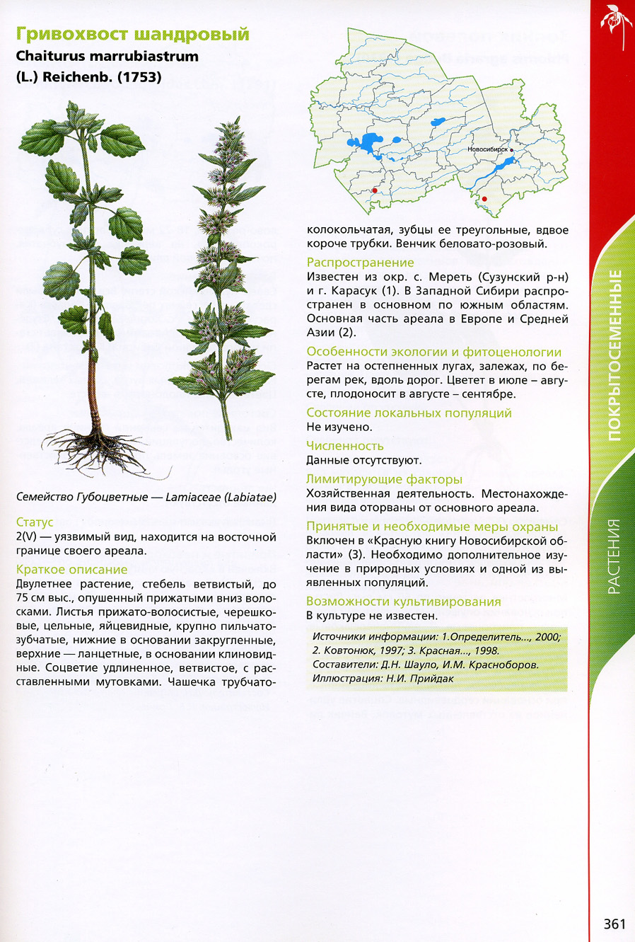 Новосибирская красная книга растения