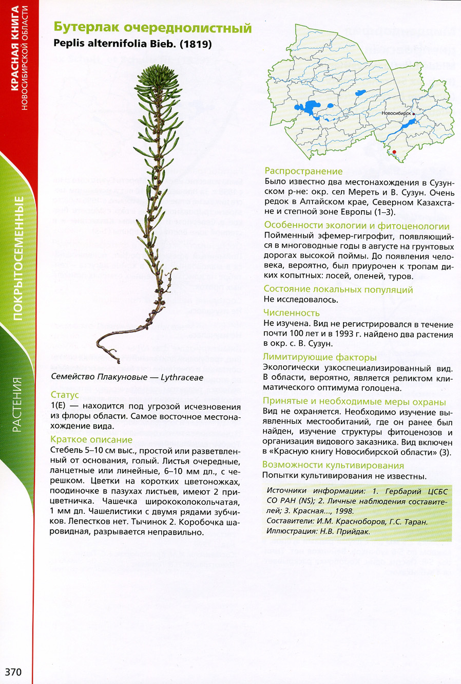 Растения из красной книги Новосибирской области