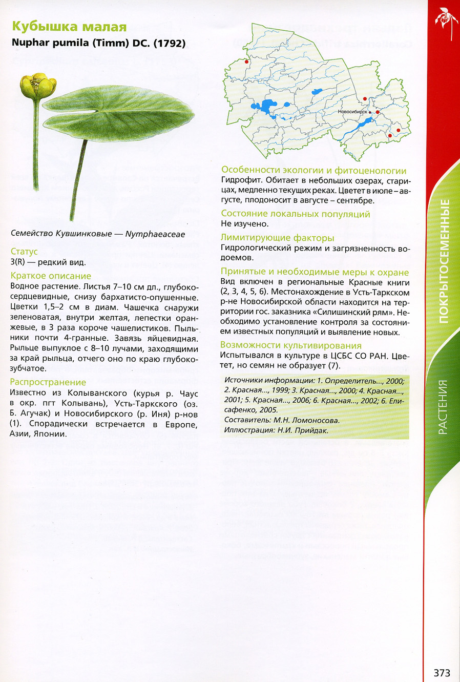 Растения Новосибирской области