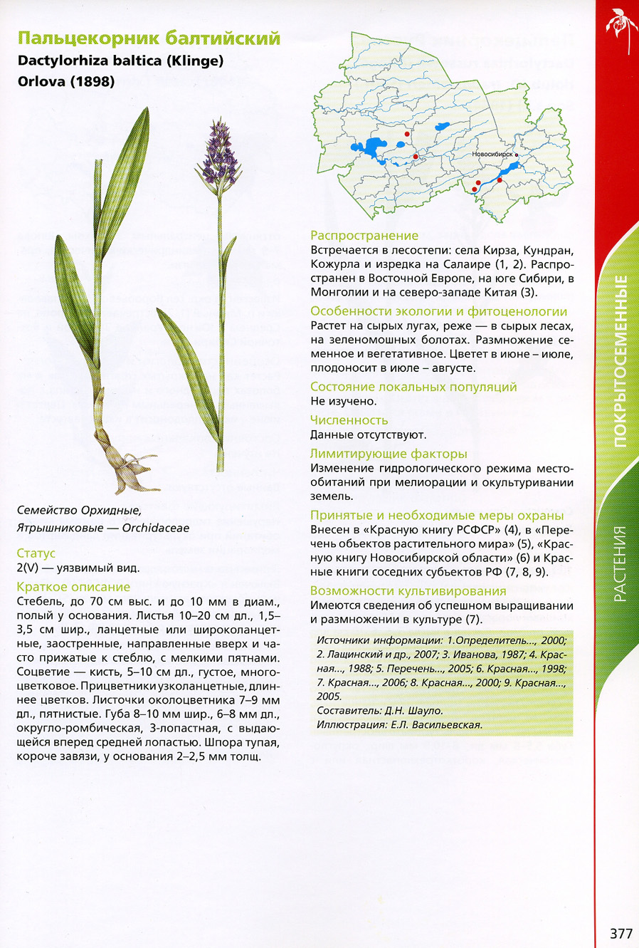 Растения Новосибирской области