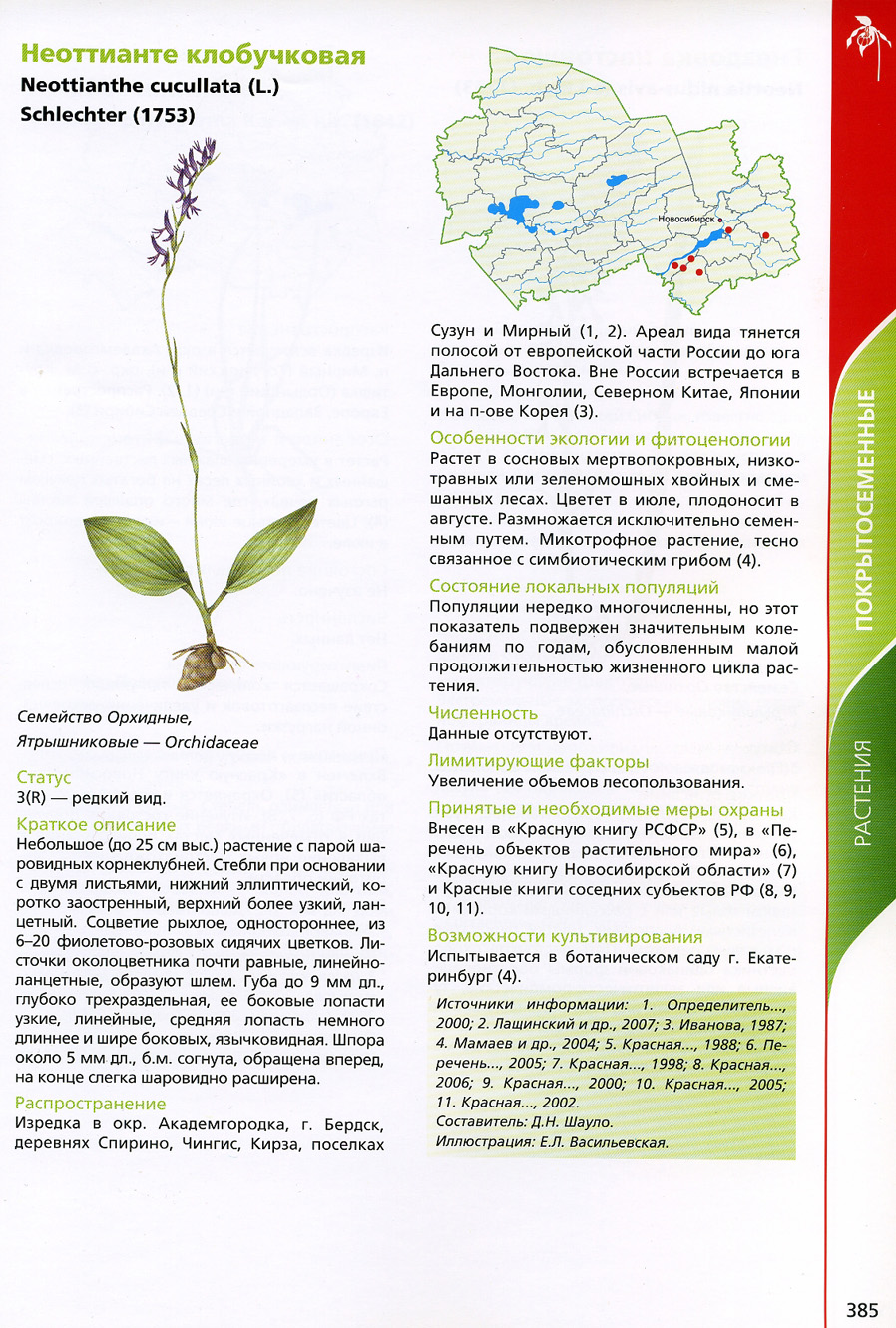 Растения из красной книги Новосибирска