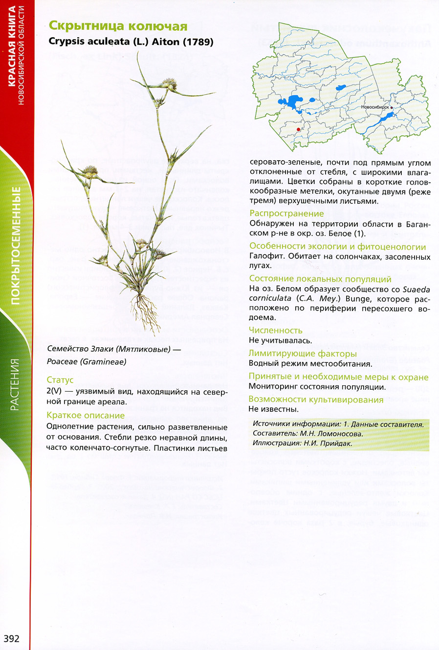 Растения из красной книги Новосибирской области
