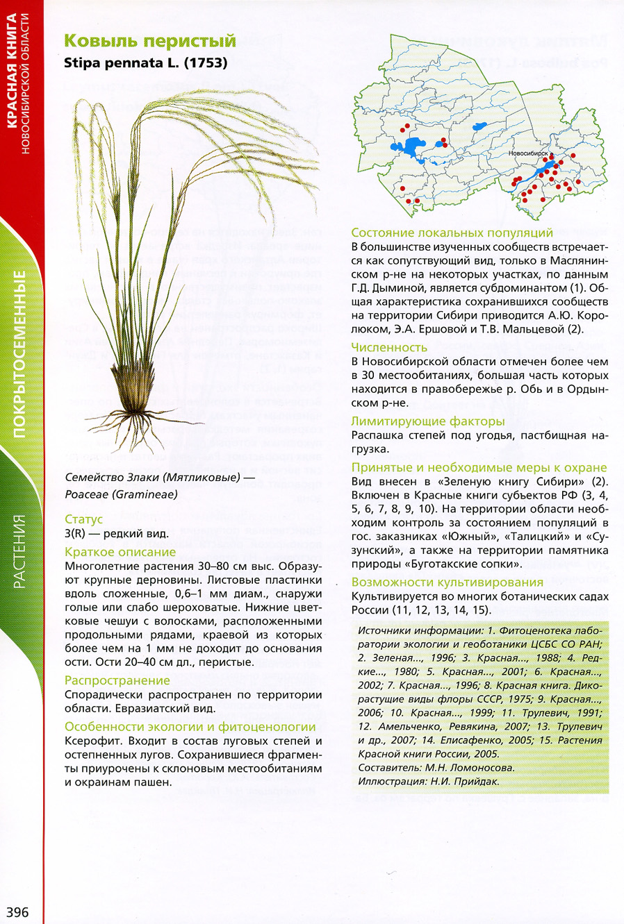 Растения Новосибирской области занесенные в красную книгу