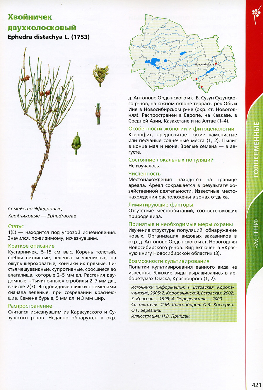 Охраняемые растения Новосибирской области