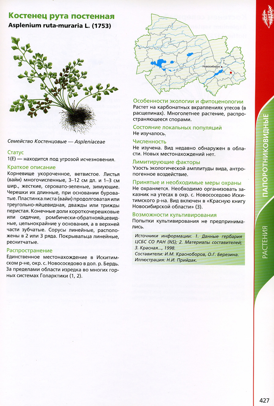 Красная книга Кировской области растения Костенец рута постенная