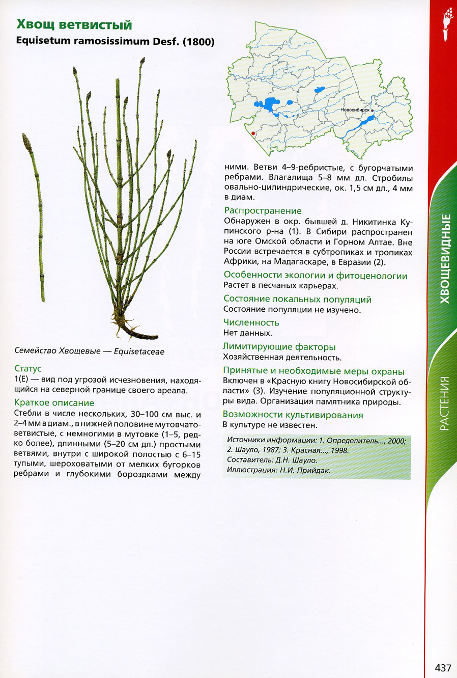 Исчезающие растения Новосибирской области
