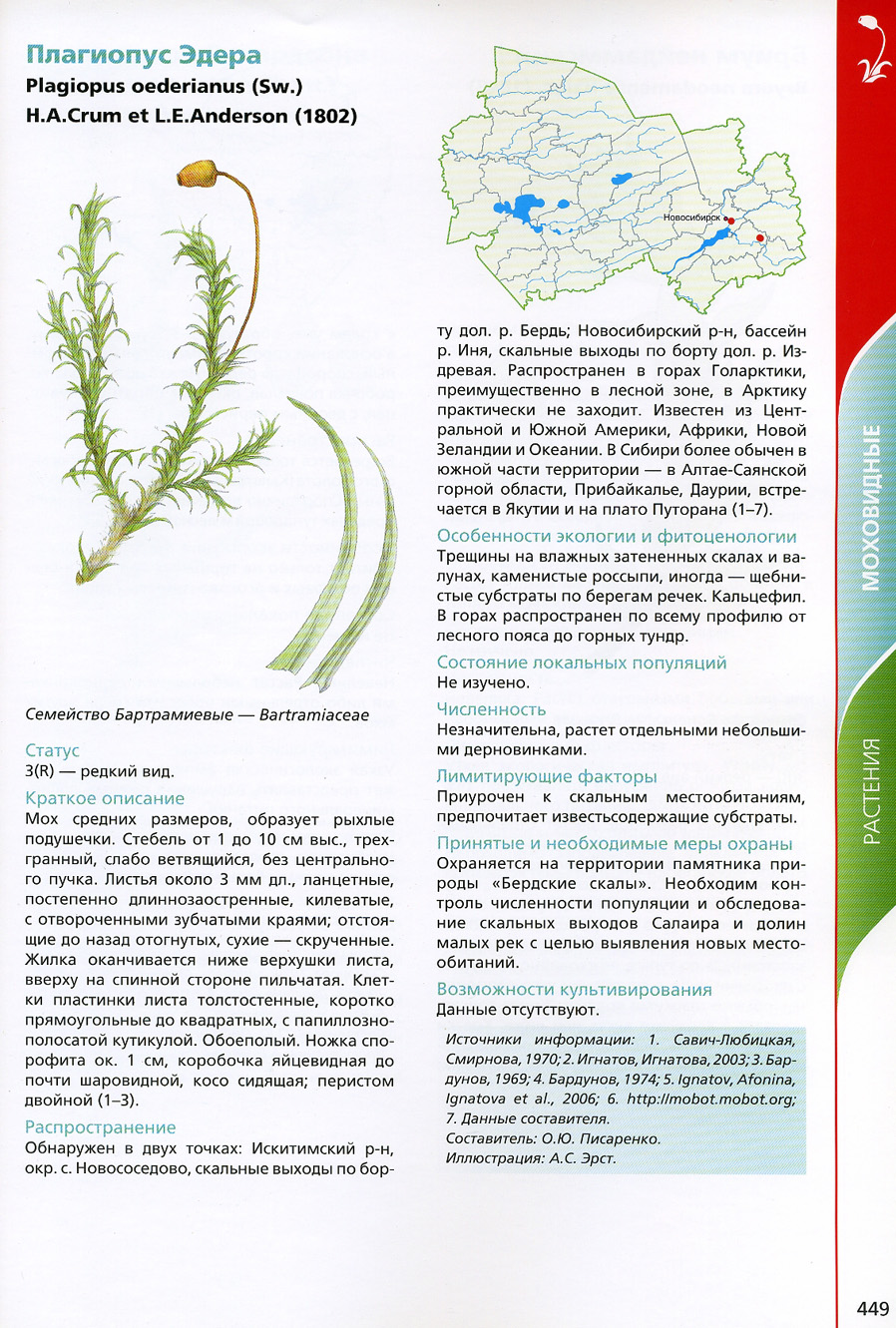 Редкие растения Новосибирской области занесенные в красную книгу