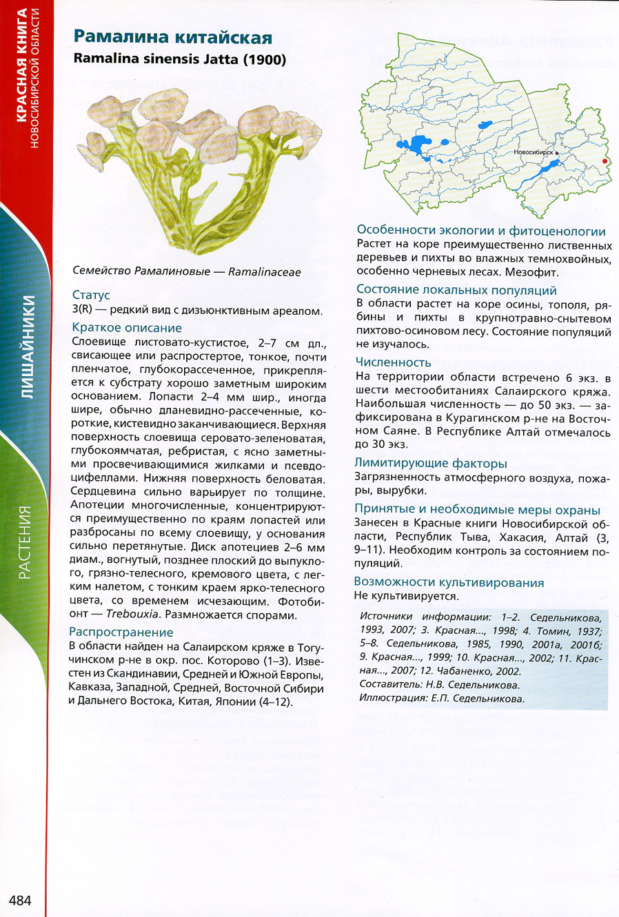 Редкие растения Новосибирской области занесенные в красную книгу