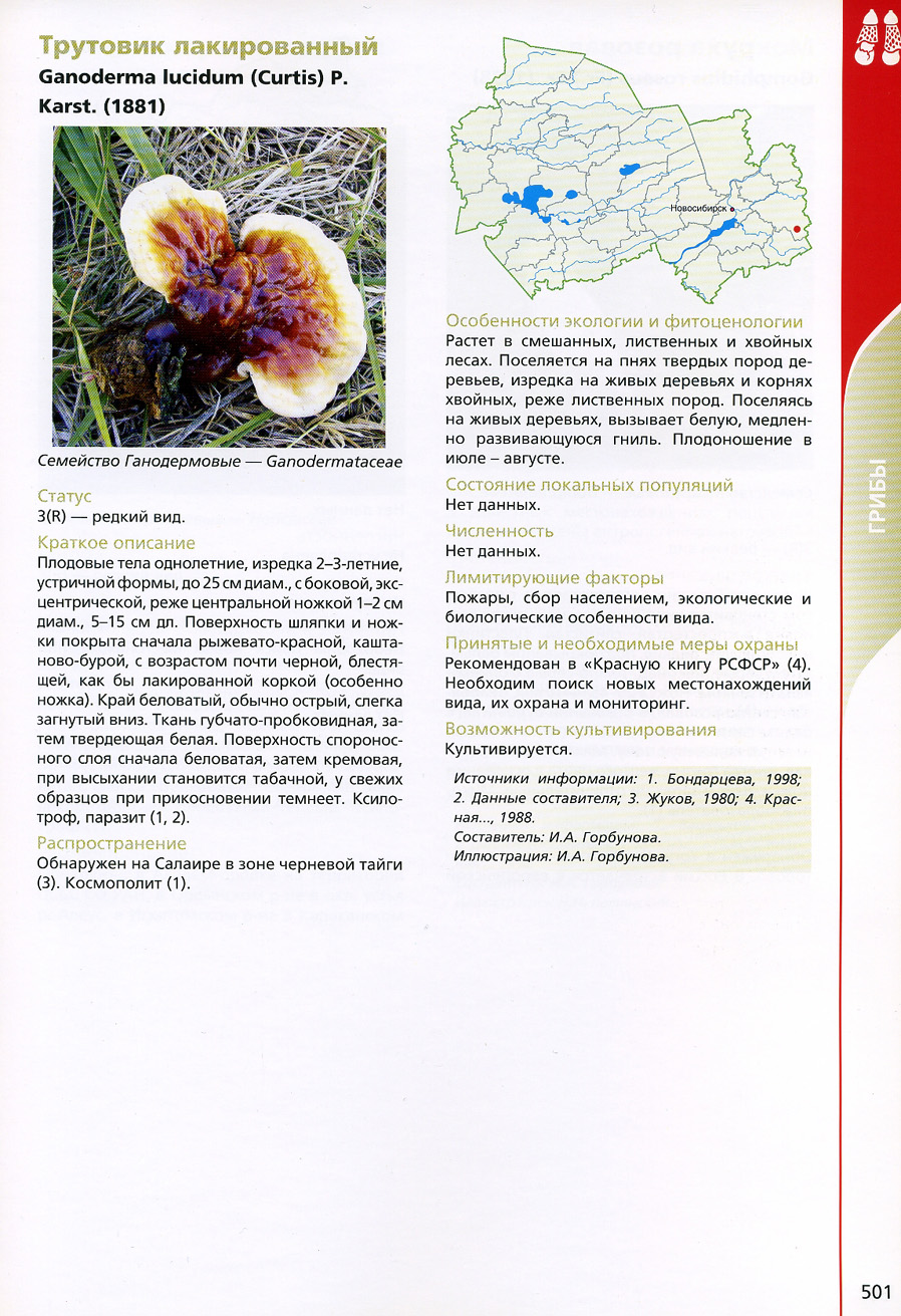 Красная книга грибов Новосибирской области