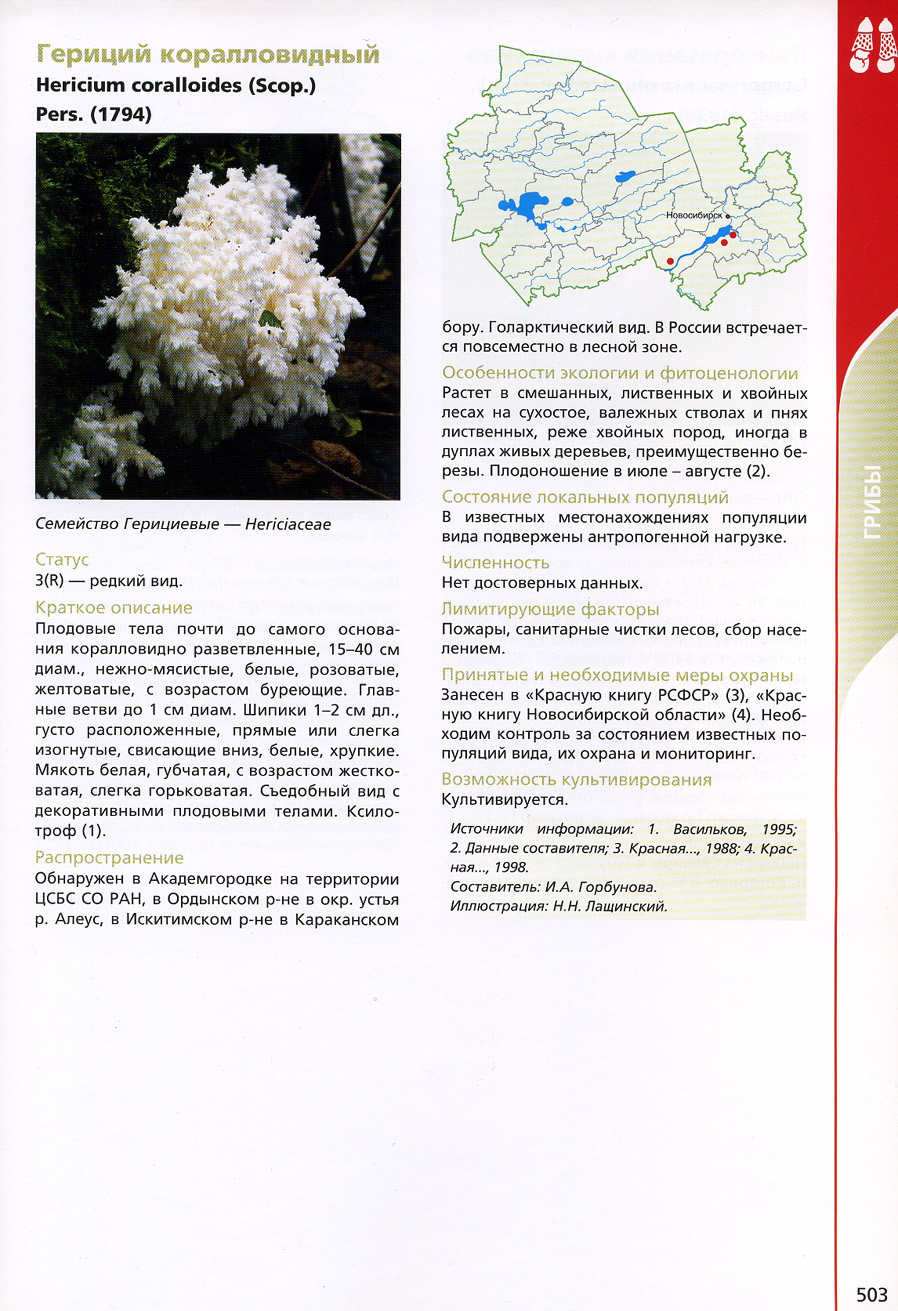 Красная книга Новосибирской области 2008