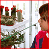 На выставке кактусов в музее, 20.09.2007. УВЕЛИЧИТЬ! 1016 x 700= 155 Kb