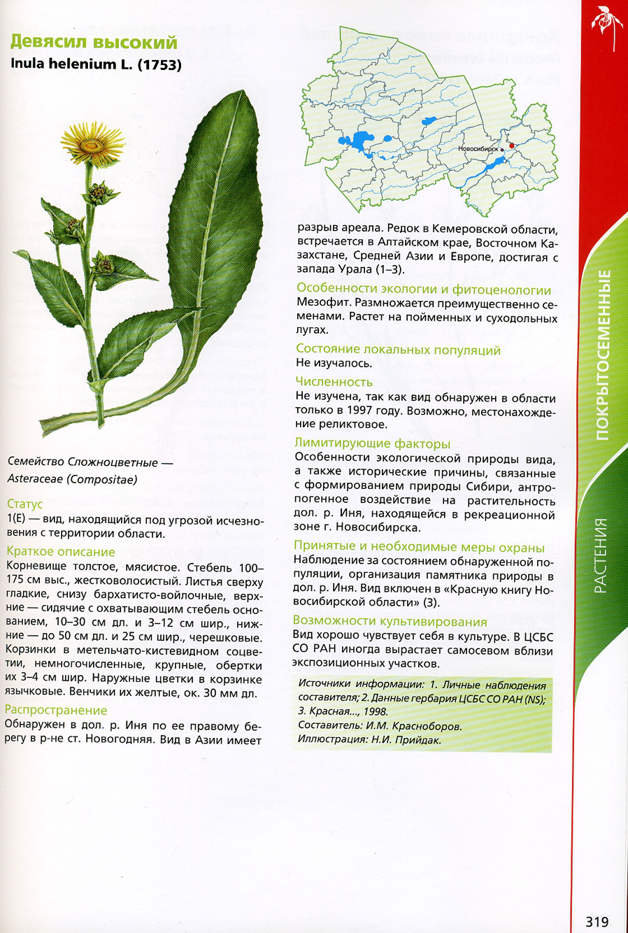 Растения красной книги Новосибирска