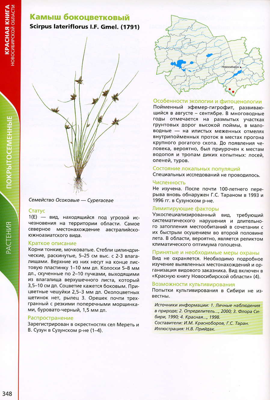 Растения Новосибирской области занесенные в красную книгу России