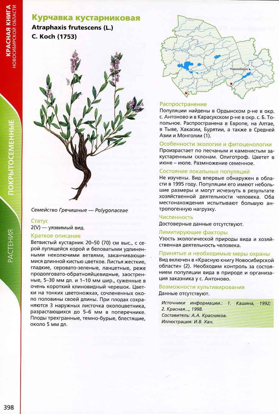 Деревья из красной книги в Новосибирской области
