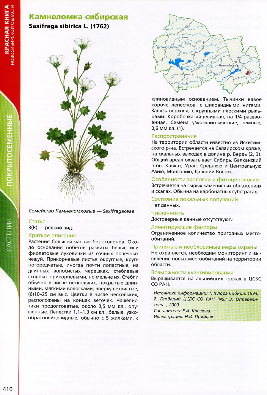 Растения Новосибирской области занесенные в красную книгу