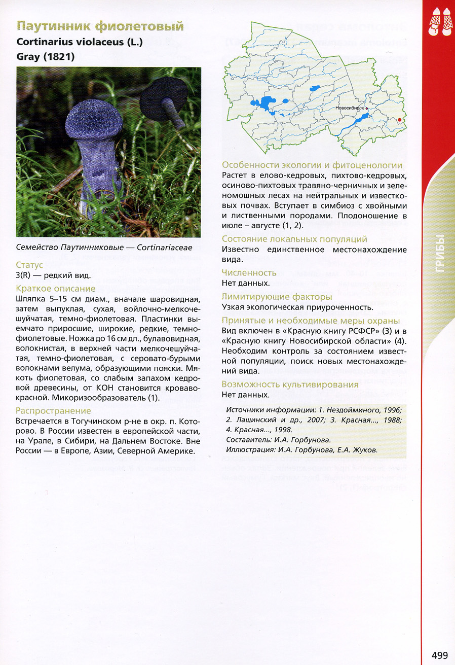 Какие грибы в красной книге россии фото