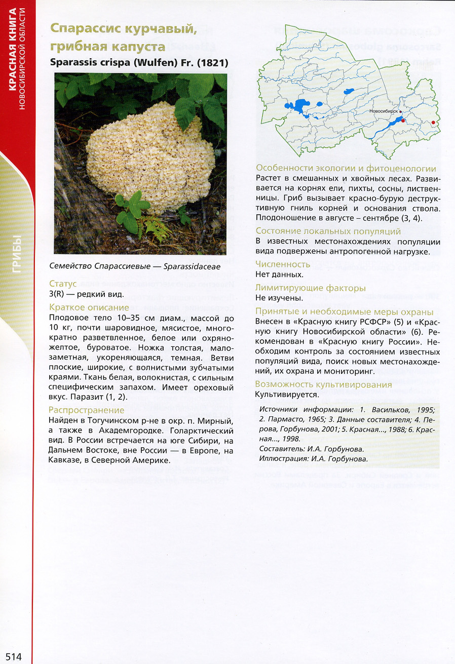 Красная книга грибов Новосибирской области