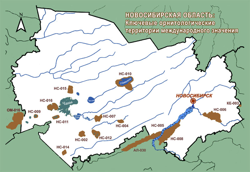 Новосибирская область.
Ключевые орнитологические территории
международного значения.